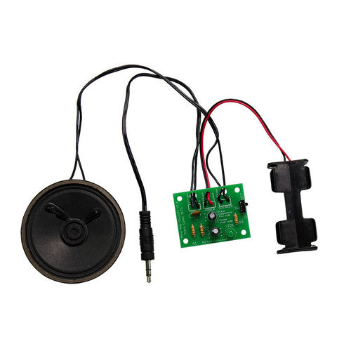 Mono Amplifier Kit with Power Switch and status LED